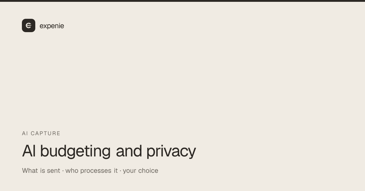 expenie guide cover: AI budgeting apps and financial privacy — what is sent and to whom